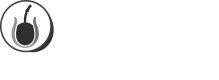 Garibaldi